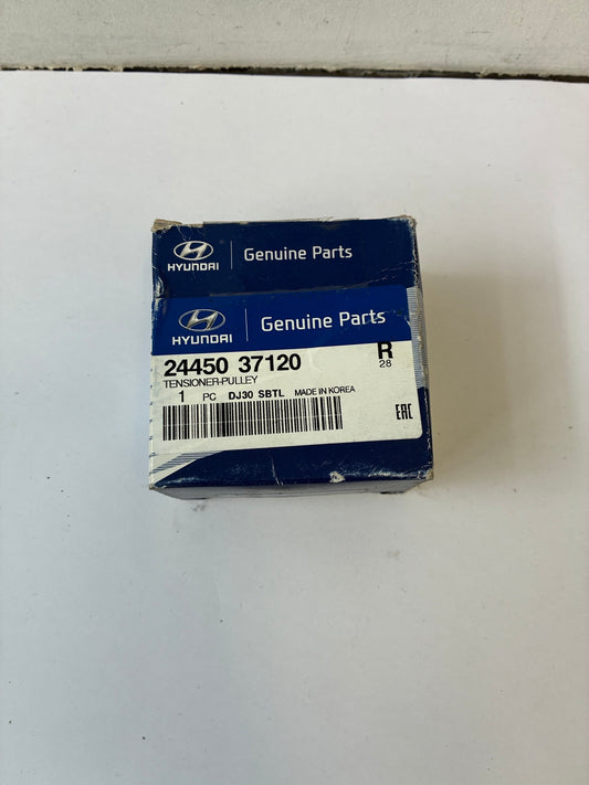 TIMING BELT TENSIONER PULLEY - Kai Sportage